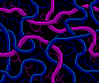 blue and purple squiggles